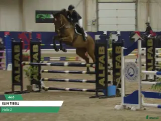 hästar Fin hopphäst med stor kapacitet – 9-årig valack - Annons 16