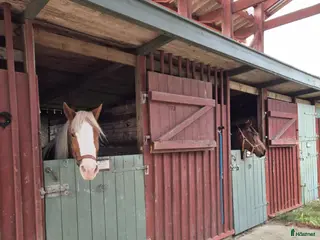 stallplats Stallplats i Kärtared, Alingsås i Alingsås - Annons 20