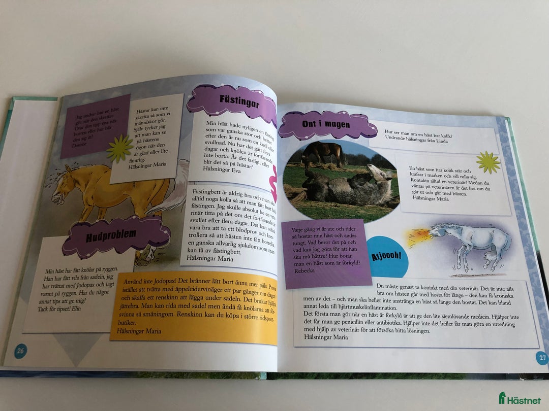 Hästinspirerad heminredning övrig utrustning till salu: Hästsnack med Maria Gretzer, Pollux Hästbokklubb  i Växjö - Annons 4