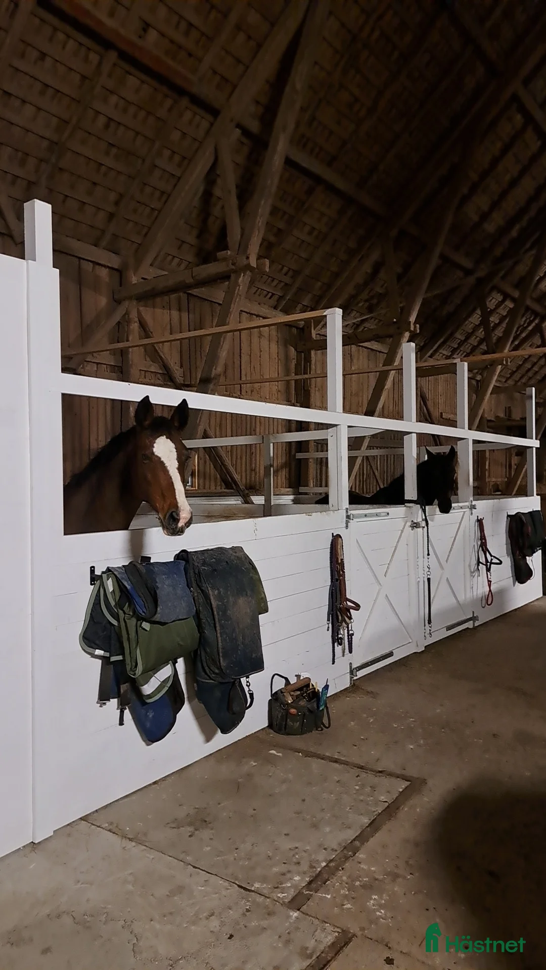  stallplats finnes: Stallplats eller lösdrift i Lidköping - Annons 1