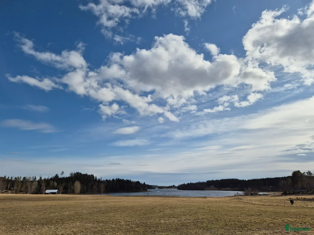  stallplats finnes: Lösdrift i Vännäs - Annons 2