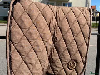 Schabrak & Vojlockar hästutrustning Schabrak back on track - Annons 2