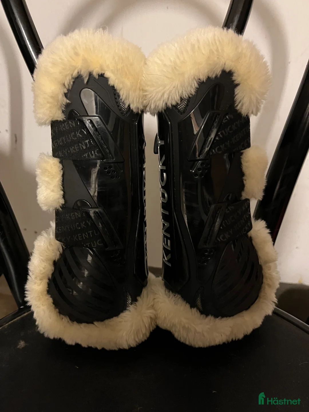 Benskydd hästutrustning till salu: Kentucky Benskydd - Annons 3