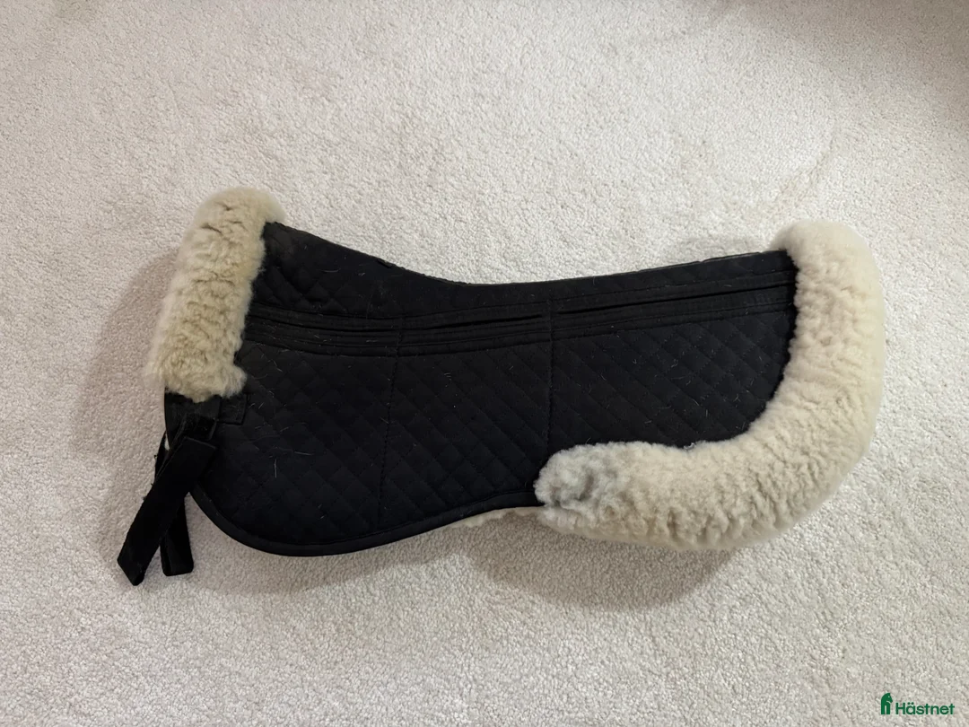 Sadeltillbehör hästutrustning till salu: Protector padd i Gävle - Annons 3