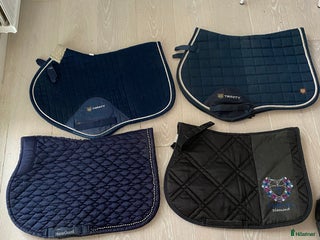 Schabrak & Vojlockar hästutrustning till salu: Schabrak i storlek ponny OBS sänkt pris i Växjö - Annons 23