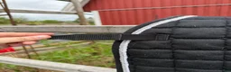 Schabrak & Vojlockar hästutrustning till salu: Schabrak / blandning - Annons 31