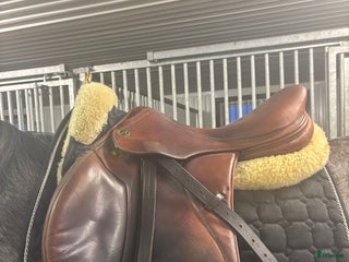 Sadlar hästutrustning till salu: Prestige Paris i Malung - Annons 5