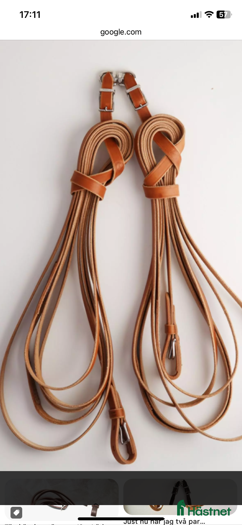 Övrig Hästutrustning hästutrustning till salu: Söker tömmar i Klagshamn - Annons 20