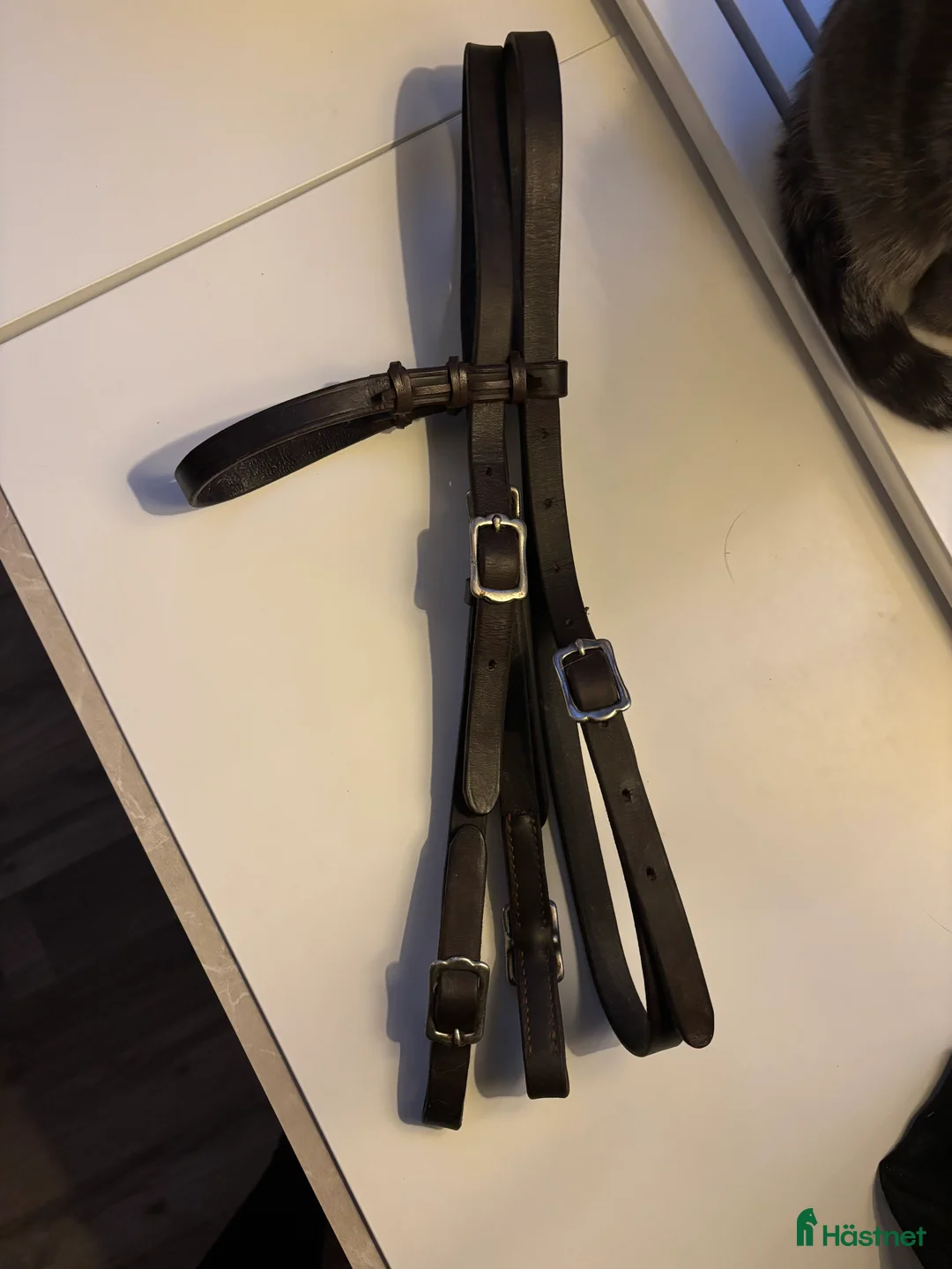 Träns hästutrustning till salu: Westernträns och curbs i Kil - Annons 1