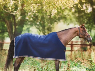 Täcken hästutrustning till salu: Helt nytt Fleecetäcke Greta hyltarp storlek 165cm i Hanaskog - Annons 3