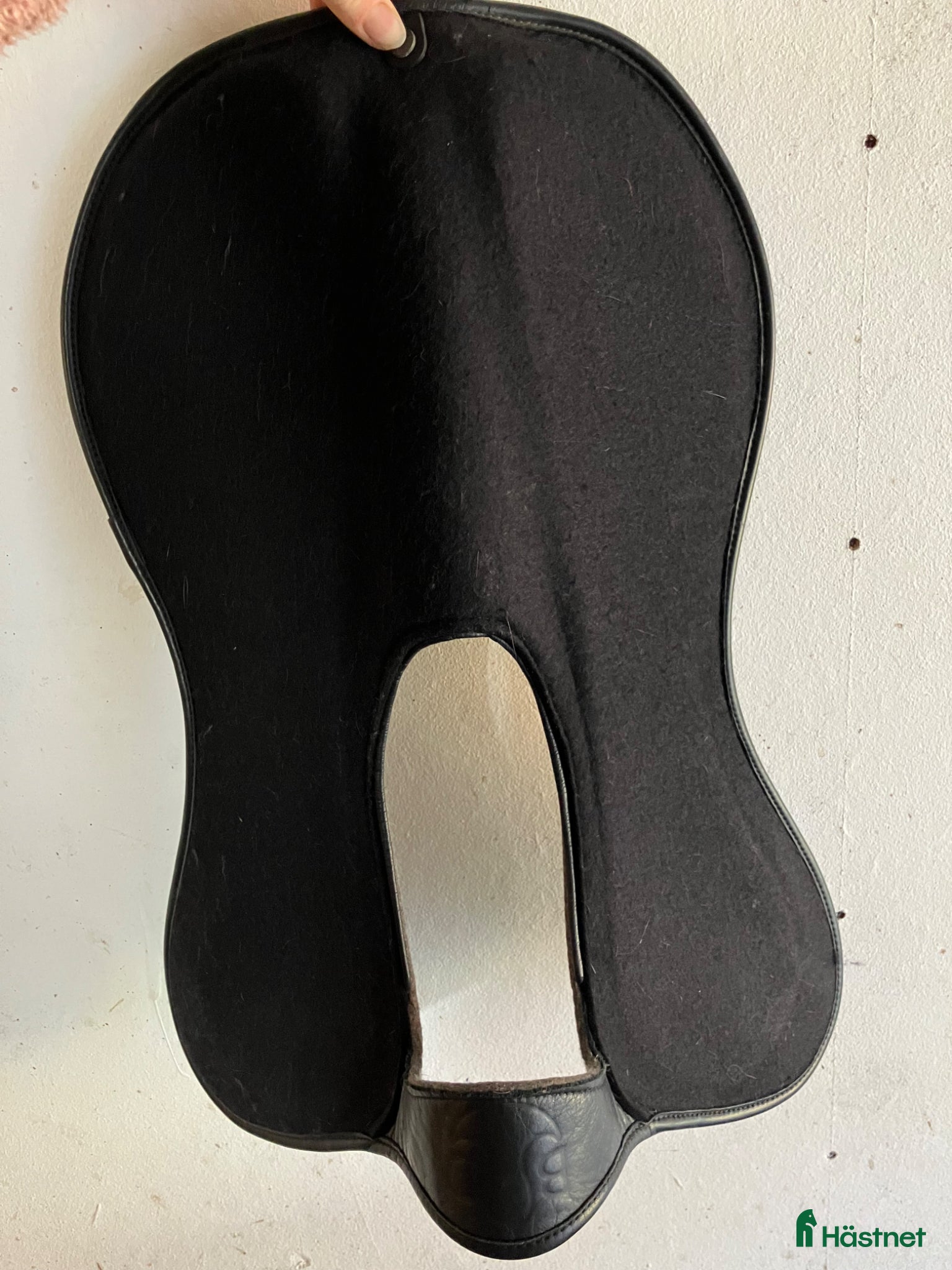 Sadeltillbehör hästutrustning Bruno delgrangepadd - Annons 13