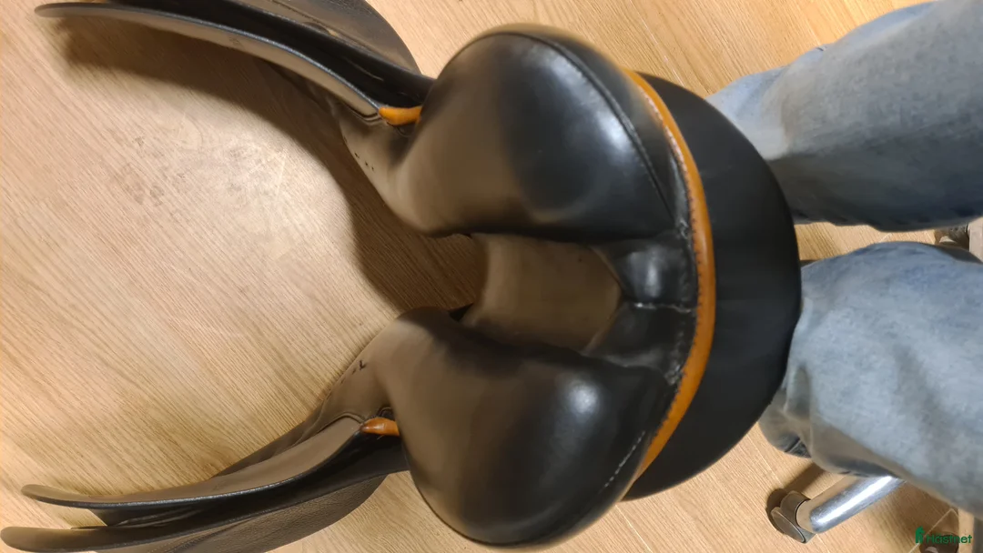 Sadlar hästutrustning till salu: Passier Young Eventer i Hamneda - Annons 6