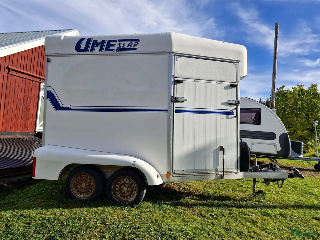 Hästtransporter  fordon & transport till salu: Umesläp - Annons 8
