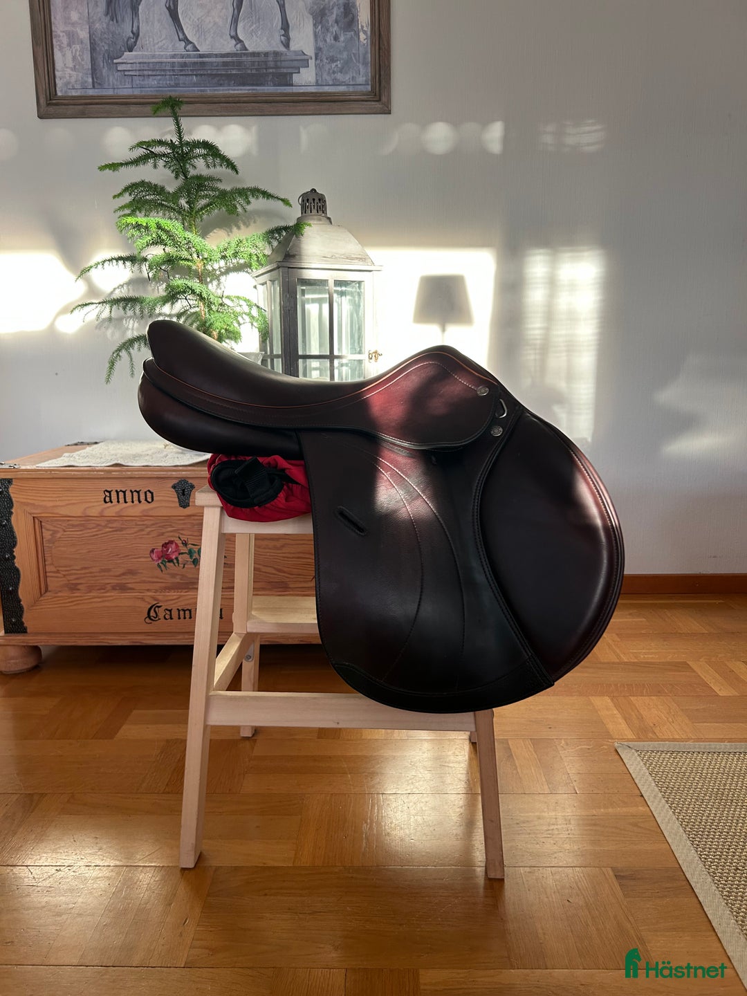 Sadlar hästutrustning till salu: Equipe Expression Special  i Lidköping - Annons 2