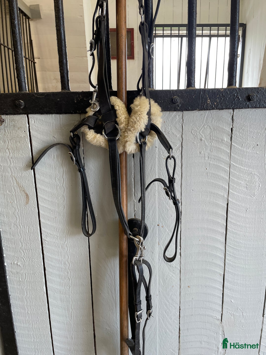 Övrig Hästutrustning hästutrustning till salu: Svart förbygel med martingal  i Vallentuna - Annons 1