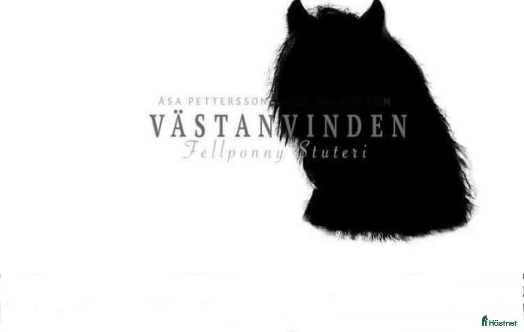 Galleribild {{count}}