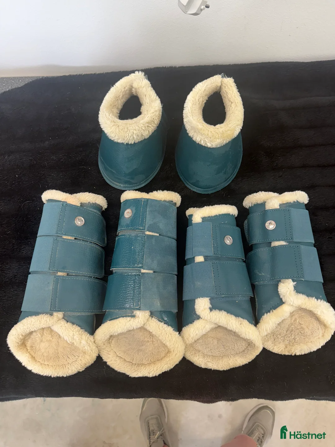 Benskydd hästutrustning till salu: Ps of sweden  i Västerås - Annons 2