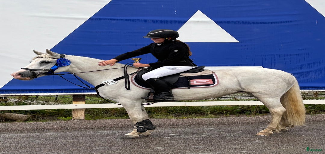 Galleribild {{count}}