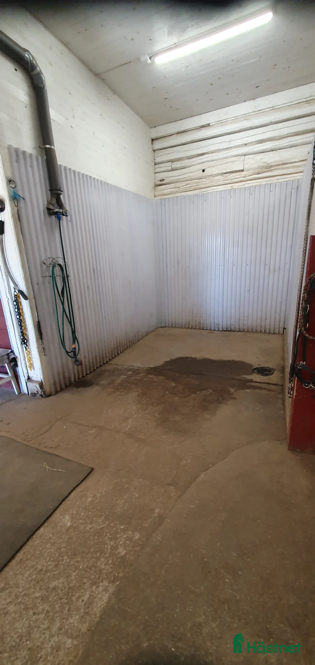  stallplats finnes: Ledig stallplats i Ulricehamn  - Annons 5