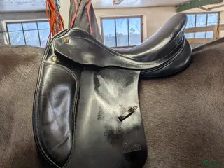 Sadlar hästutrustning Prestige Lucky Dressage - Annons 21