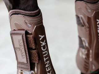 Benskydd hästutrustning till salu: Fina Kentucky benskydd storlek M i Göteborg - Annons 20