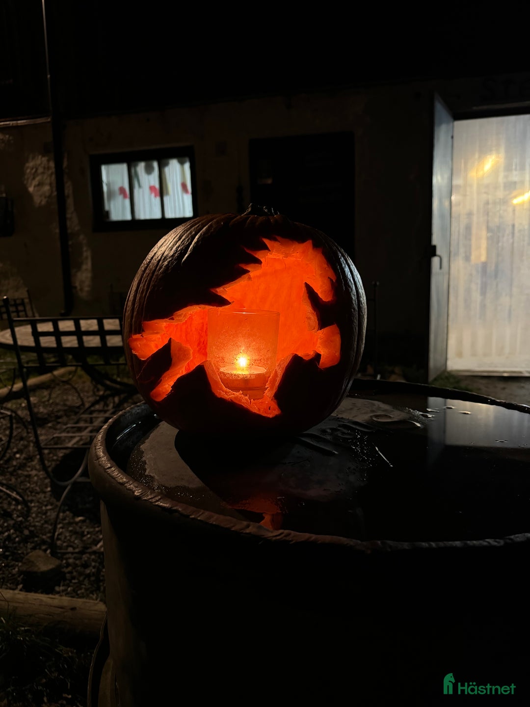  hästservice finnes: Höstlovsridläger i Bergslagen i Riddarhyttan - Annons 1