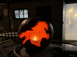 hästservice Höstlovsridläger i Bergslagen i Riddarhyttan - Annons 13