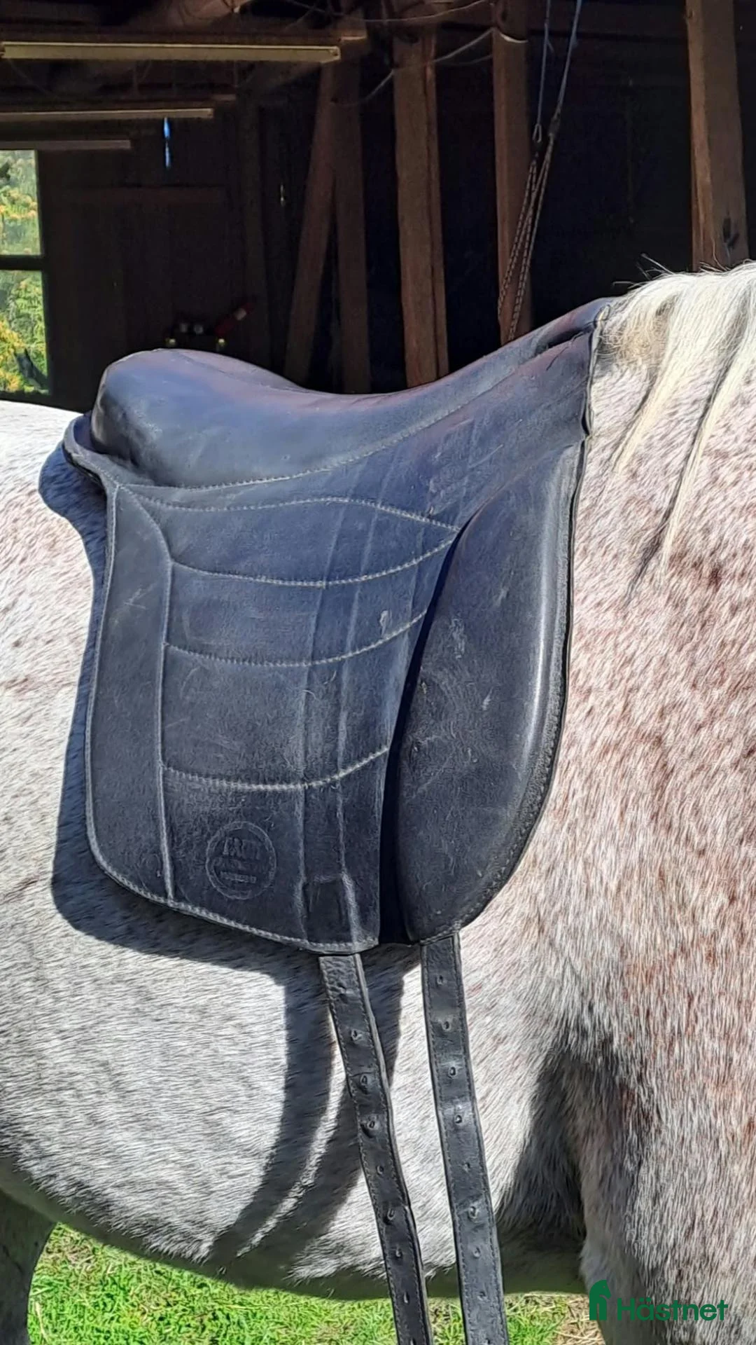 Sadlar hästutrustning till salu: Taur Pad Supreme barbackasadel i Hisings Backa - Annons 1