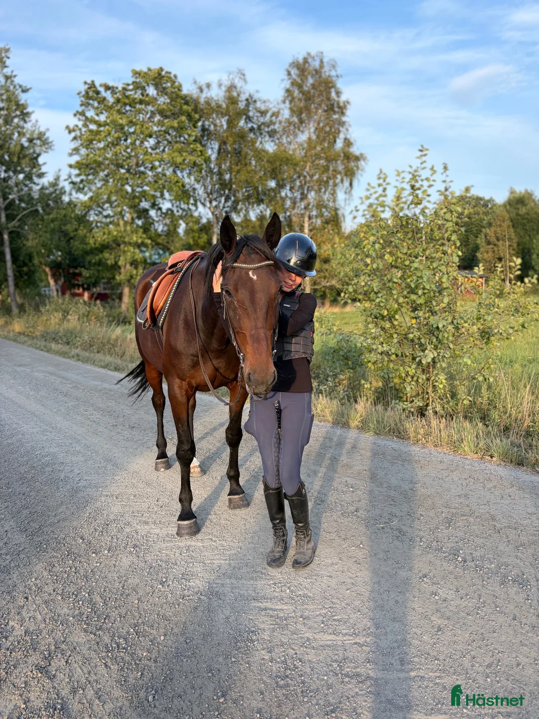 Allround hästar till salu: Bästa vän till rutinerad ryttare i Rimbo - Annons 2