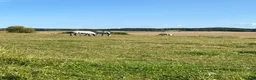  stallplats finnes: Norrköping 1 plats i Norrköping - Annons 6