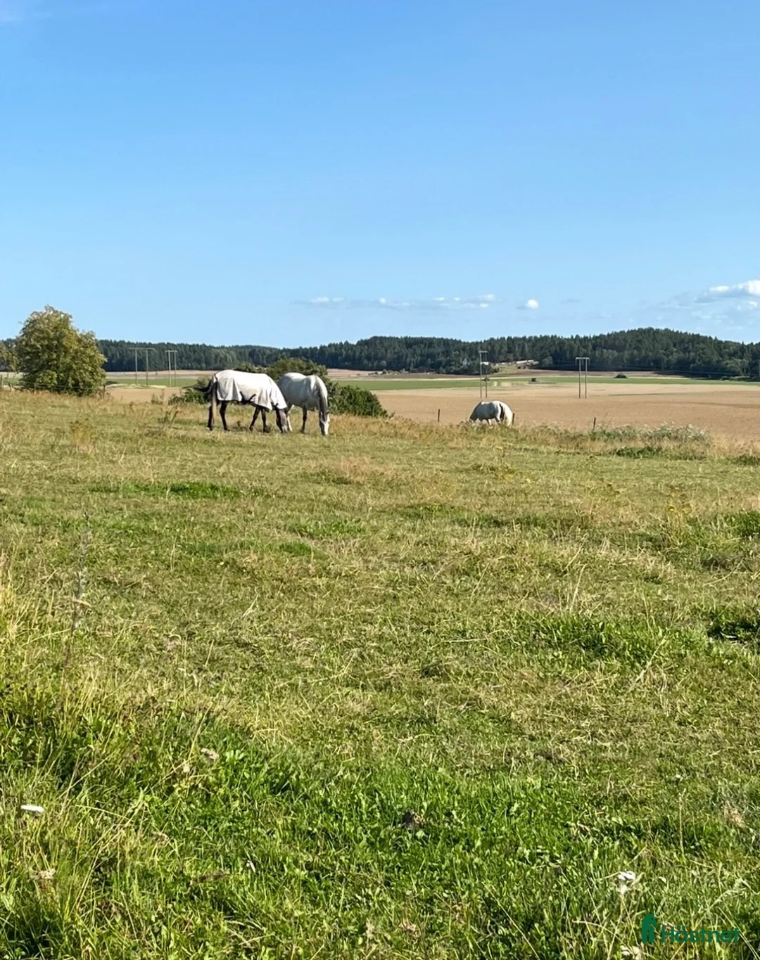  stallplats finnes: Norrköping 1 plats i Norrköping - Annons 6