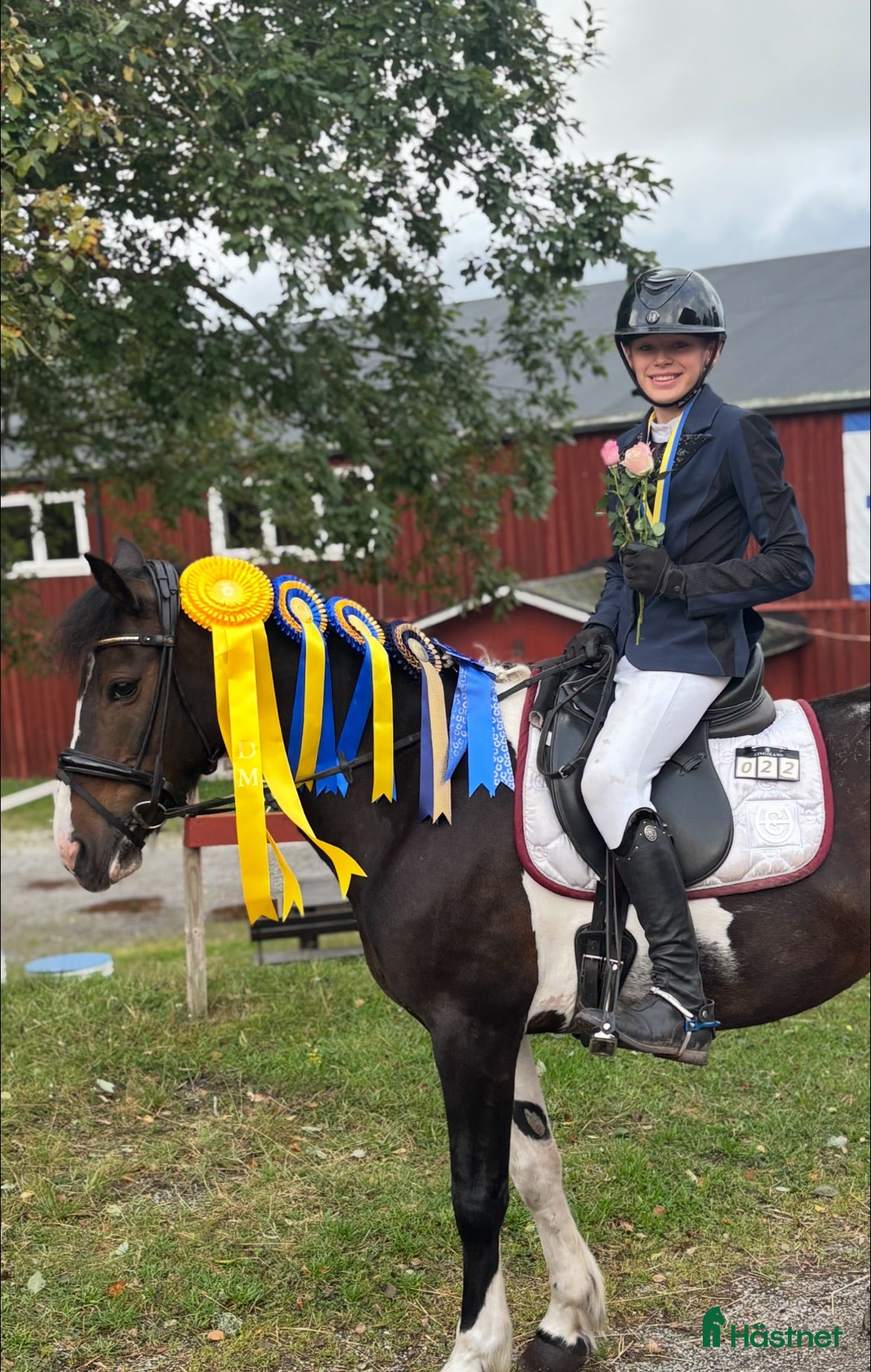  hästar Världens finaste allround ponny till salu🤩 i Hudiksvall - Annons 18