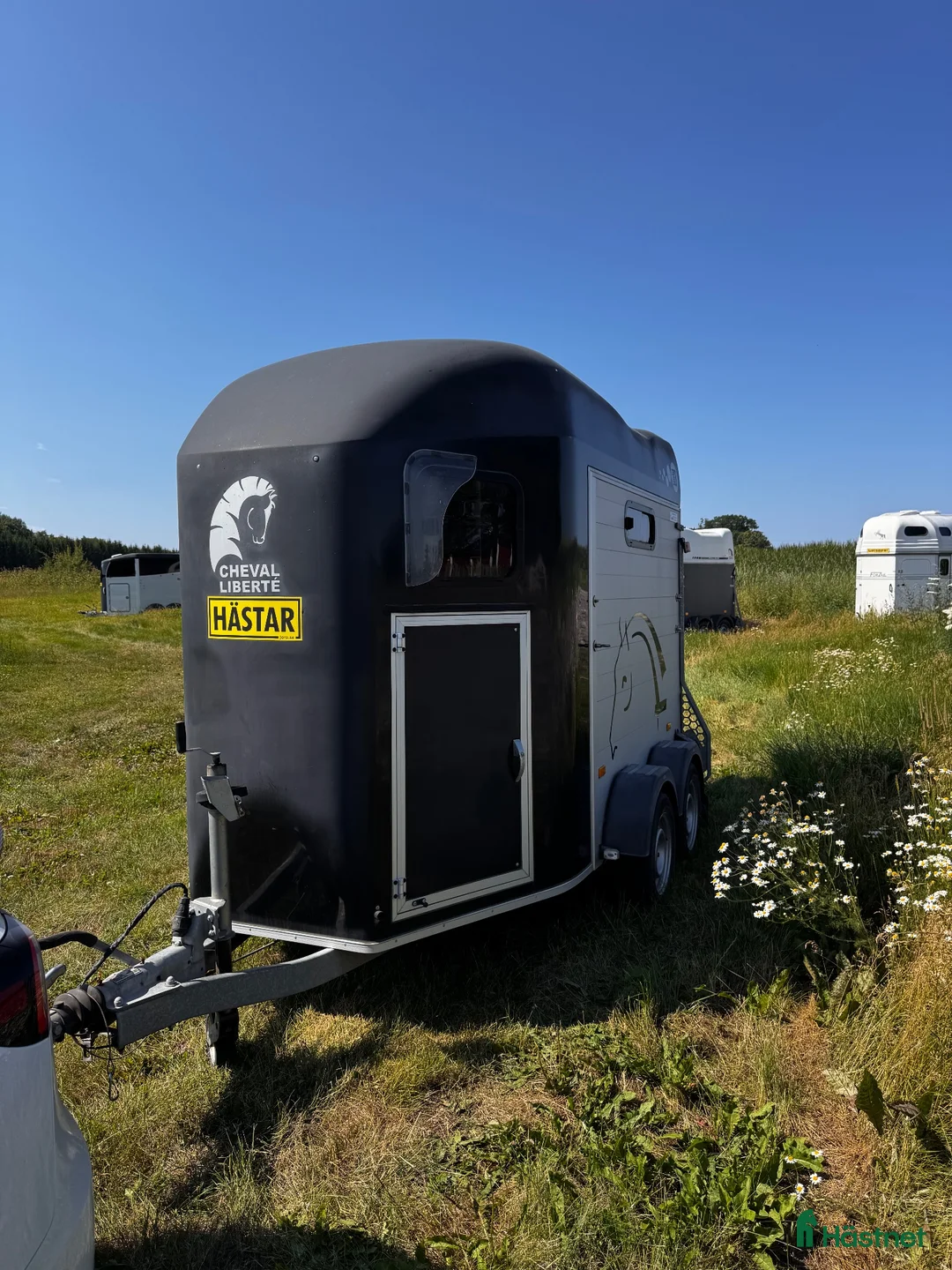 Hästtransporter  fordon & transport till salu: CHEVAL LIBERTÉ Gold 3 - Annons 2