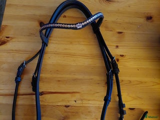 Träns hästutrustning till salu: Fint träns säljes i Norrköping - Annons 3