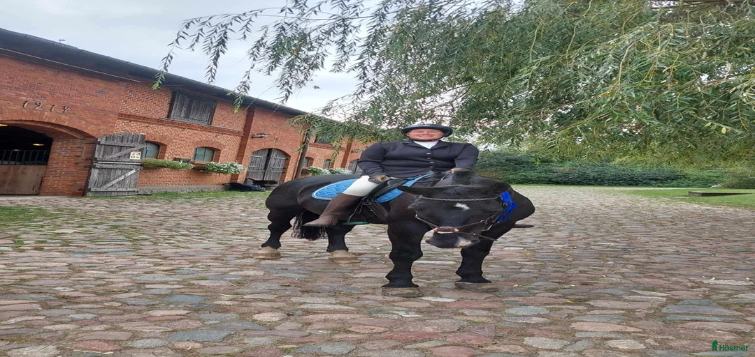 Galleribild {{count}}