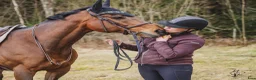 Allround hästar till salu: Rolig och personlig hobbyhäst - Annons 1