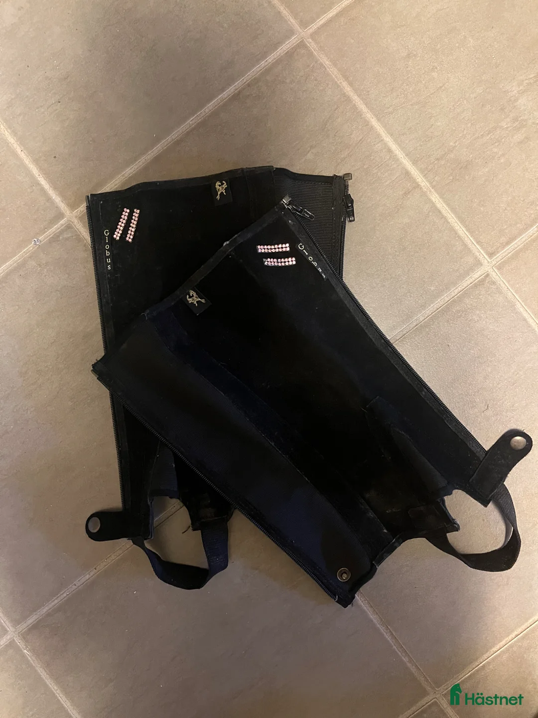 Övrig Ryttarutrustning ryttarutrustning till salu: Chaps  - Annons 1