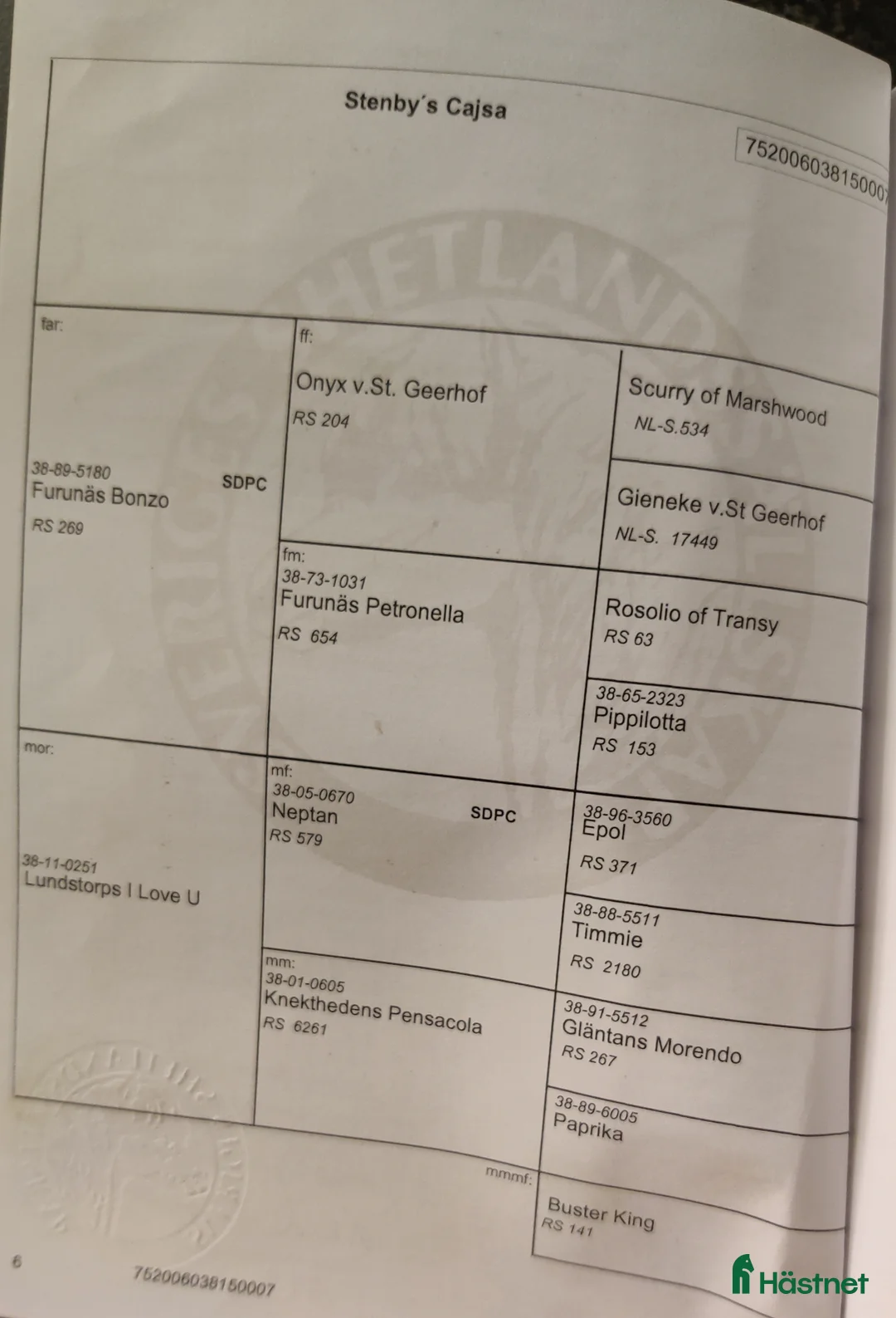  avel finnes: Stenbys Cajsa för avel i Ljungsbro - Annons 2