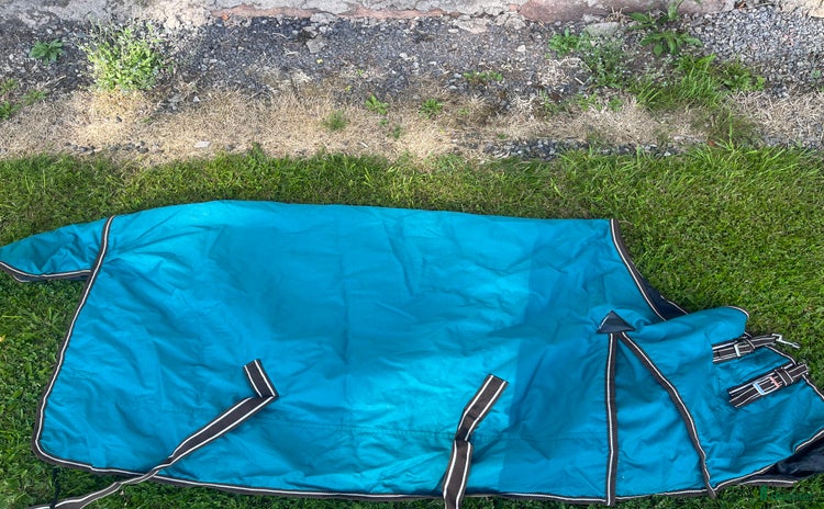 Täcken hästutrustning till salu i Vänersborg - Annons 14