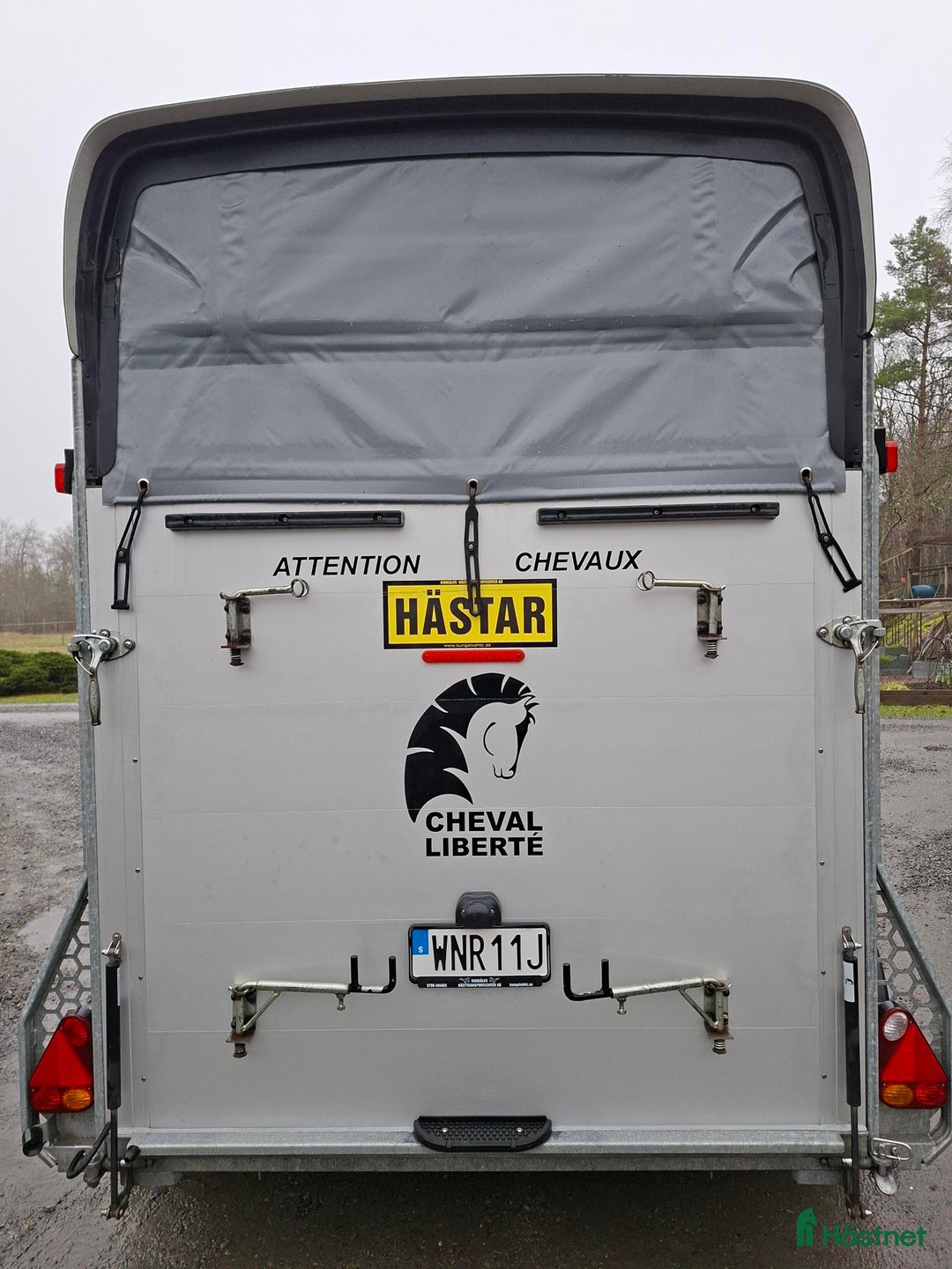 Hästtransporter  fordon & transport till salu: Cheval Gold 3 Composite med sulkyhållare i Harestad - Annons 5