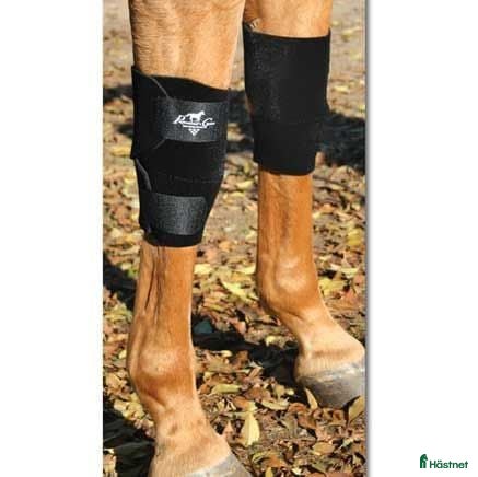 Benskydd hästutrustning Knee boots Professionals choice  - Annons 1