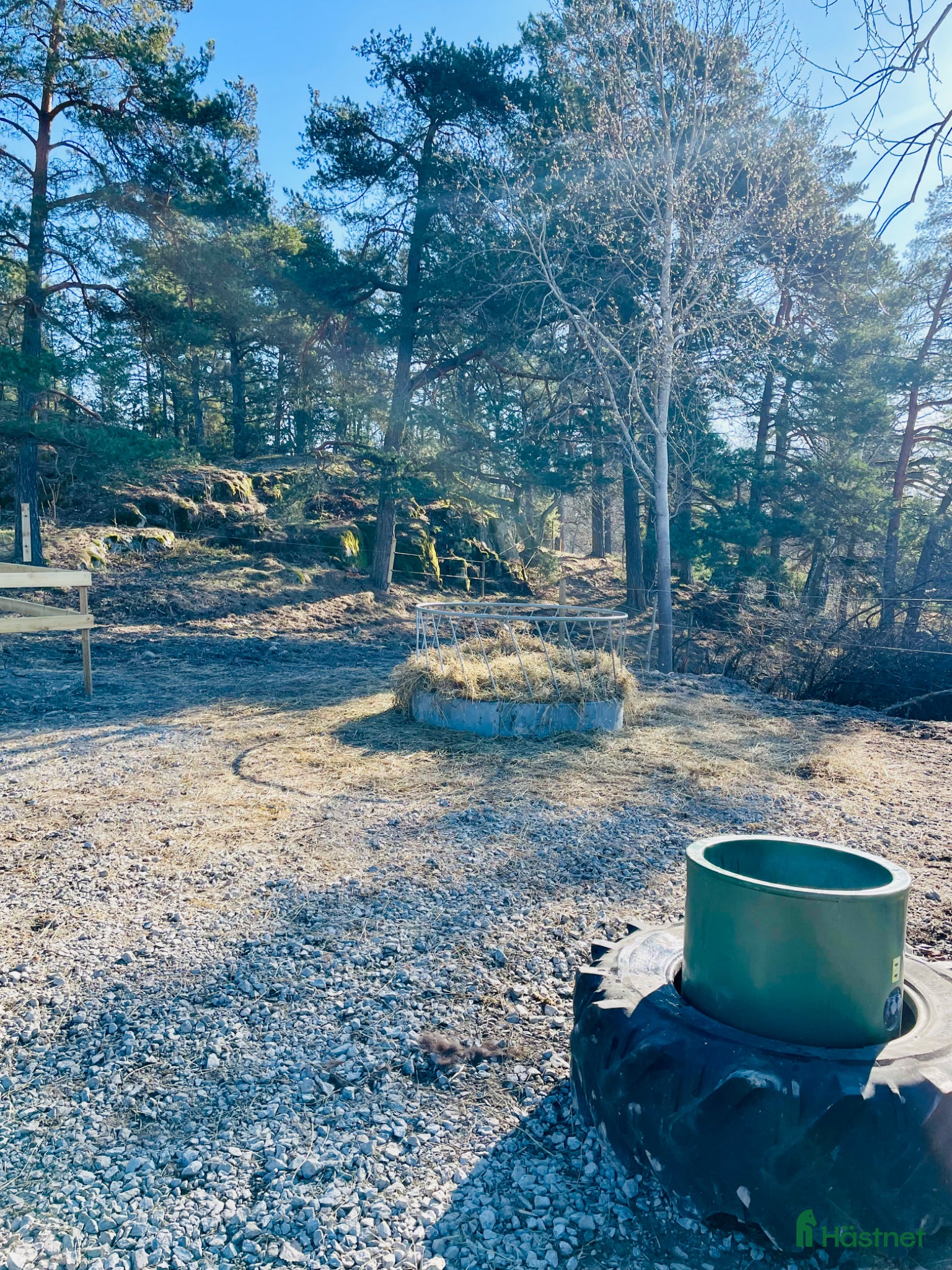  stallplats finnes: 🌟 Lösdriftsplats med lyxig fullservice 🌟 - Annons 1