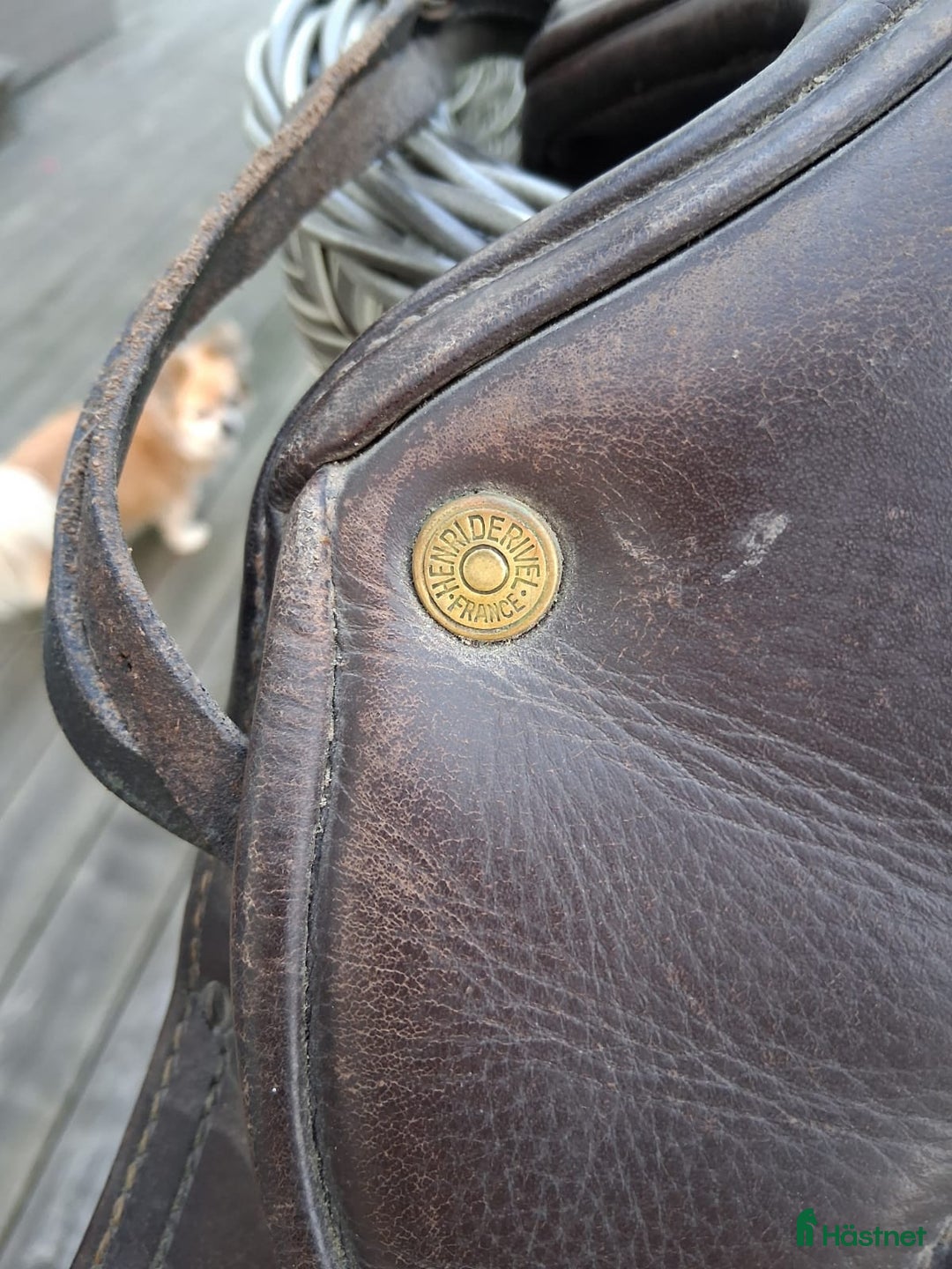 Sadlar hästutrustning till salu: Sadlar: Passier & Henri de Rivel i Ljungbyholm - Annons 16