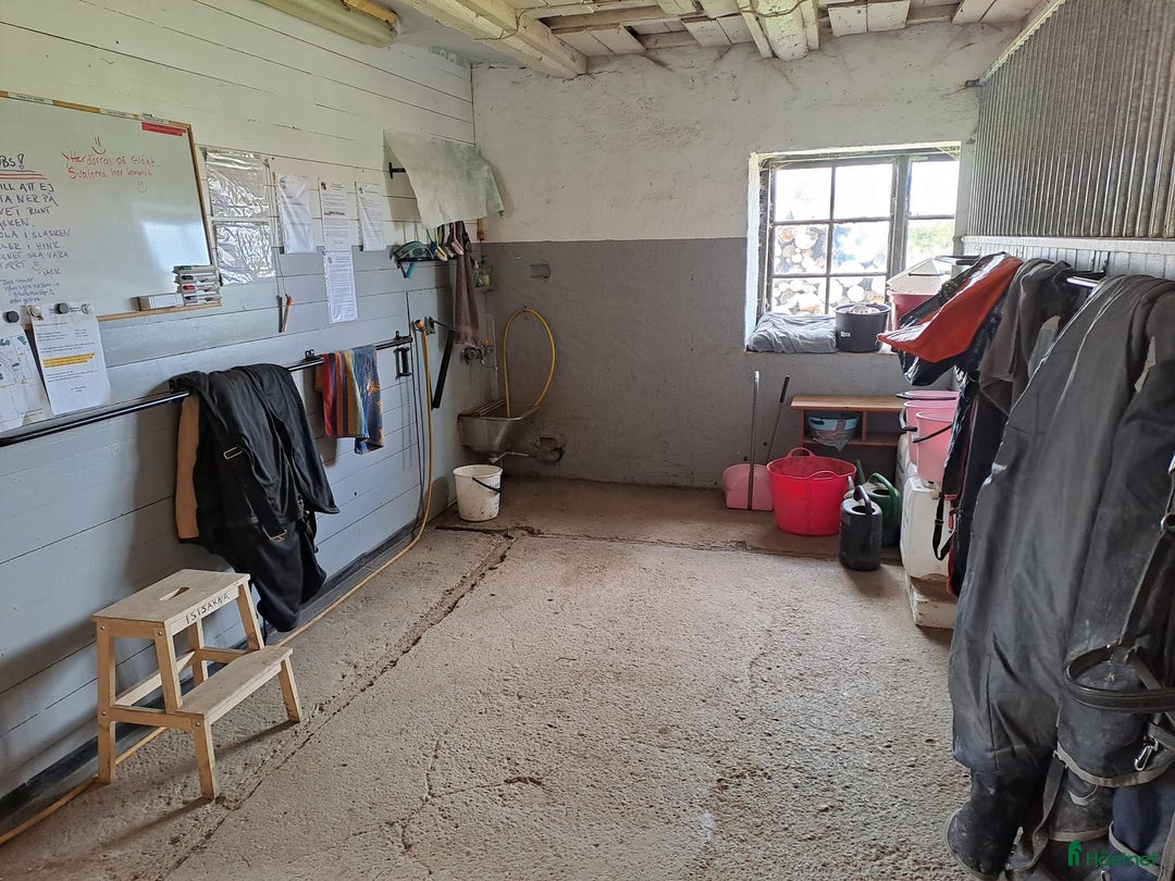  stallplats finnes: Kollektiv eller Service Adolfsbergs stallet i Bro - Annons 12