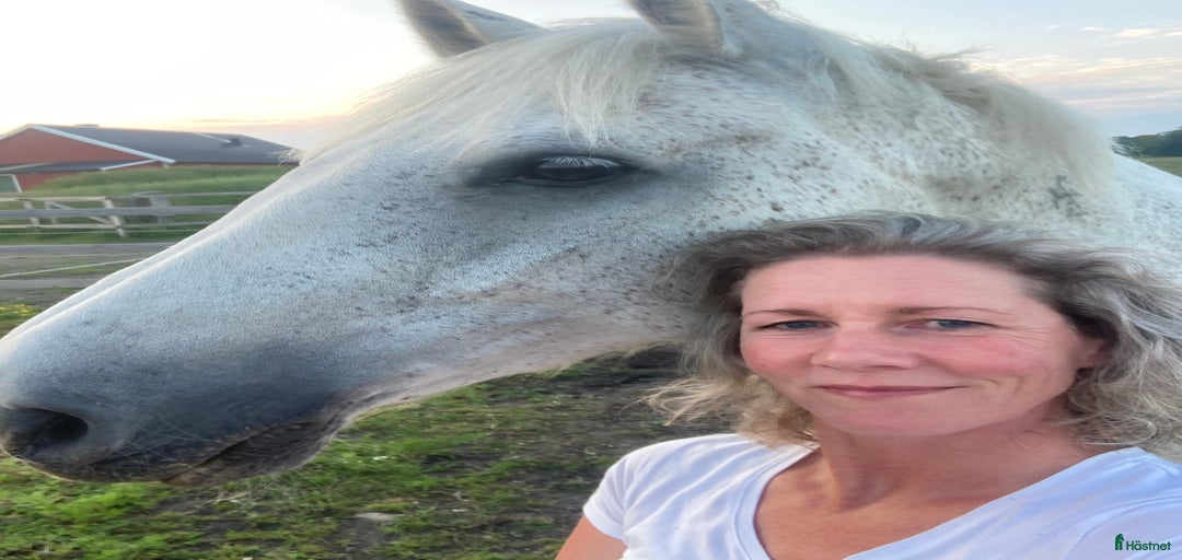 Galleribild {{count}}