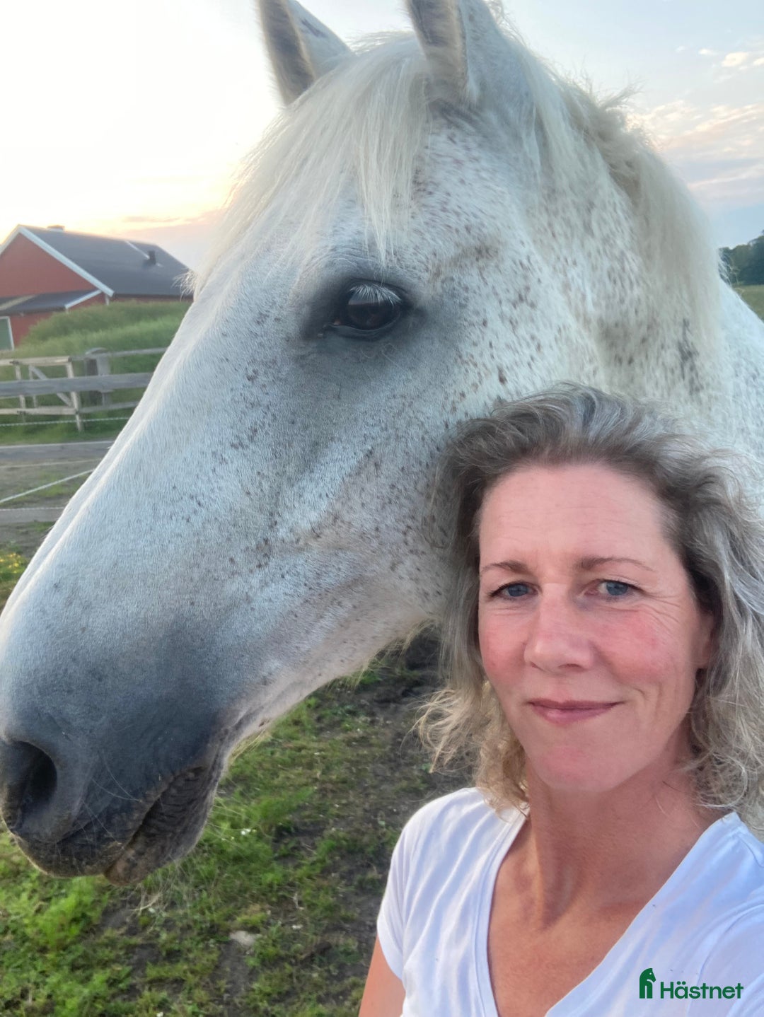 Galleribild {{count}}