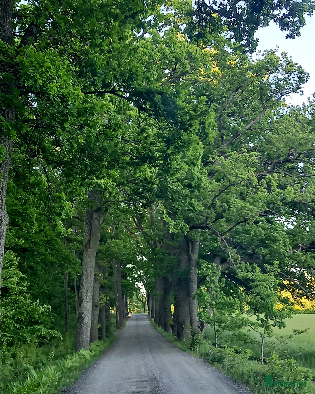  stallplats finnes: Stallplats Tungelsta, Haninge  i Tungelsta - Annons 5