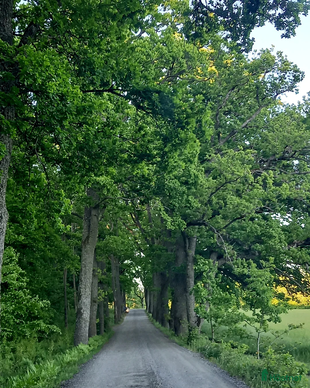  stallplats finnes: Stallplats Tungelsta, Haninge  i Tungelsta - Annons 5