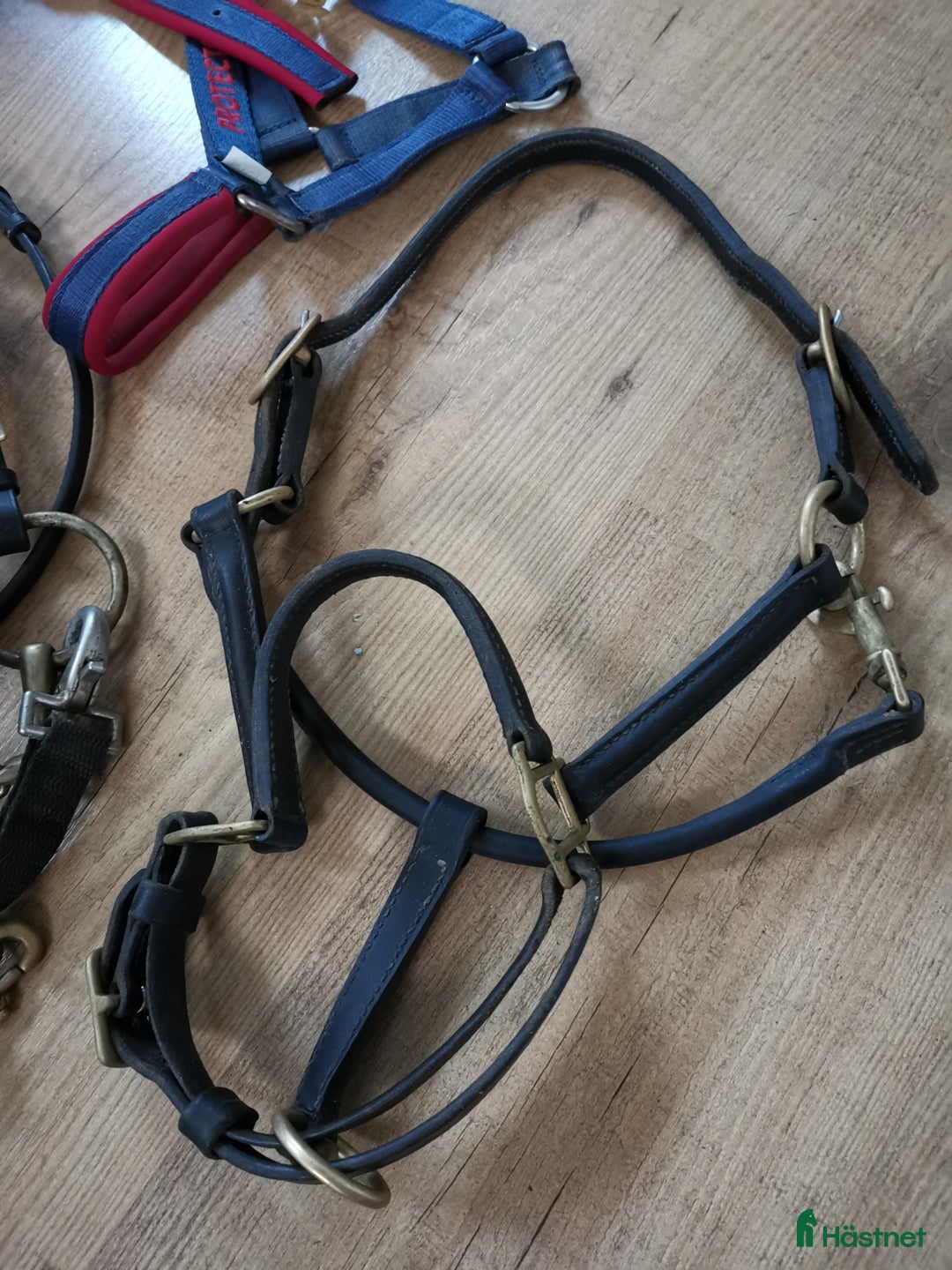 Övrig Hästutrustning hästutrustning till salu: Shettis i Ludvika - Annons 4