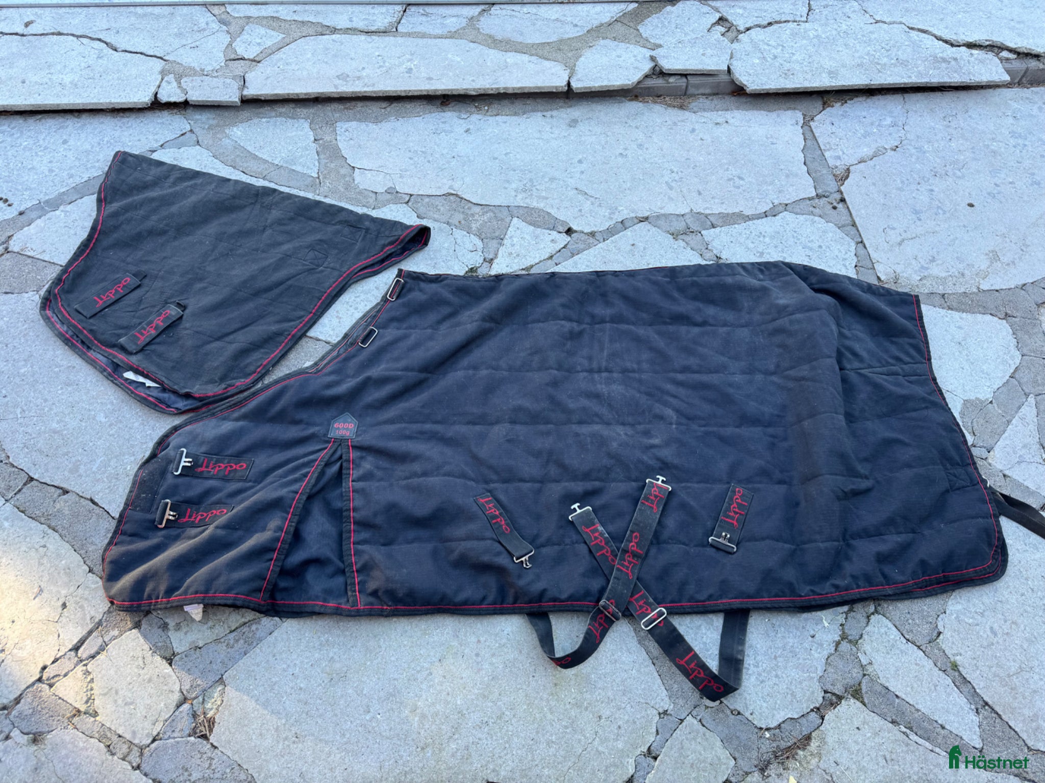 Täcken hästutrustning Lippo stalltäcke - Annons 5